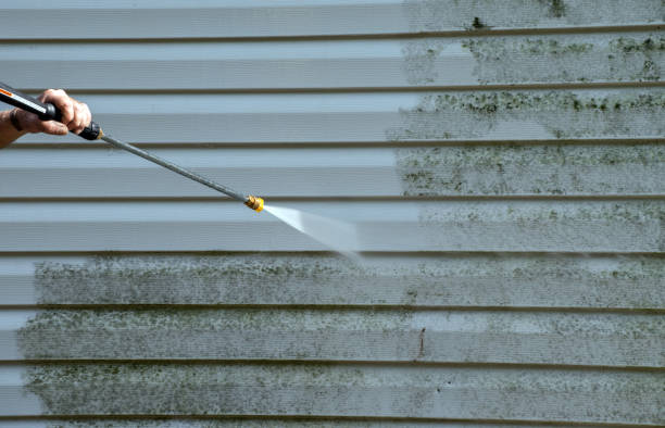 Best Solar Panel Cleaning  in Marmet, WV